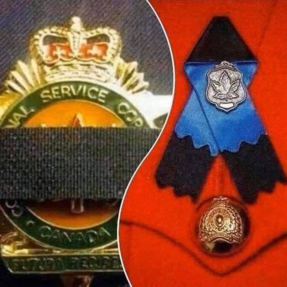 Meet your Posher, Trish - Picture 2 of 2